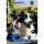 Kühlmatte für Hunde und Katzen, Selbstkühlend, Farbe Blau
