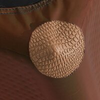 TAMI Backseat S – Faltbare Rücksitz-Hundebox mit Airbag-Funktion