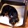 TAMI - Auto & Home Hundebox aufblasbar mit Airbagfunktion